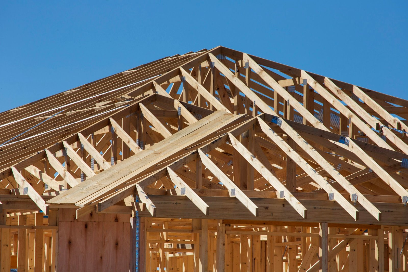 Exposed timber roof trusses and wall framing beneath a blue sky.