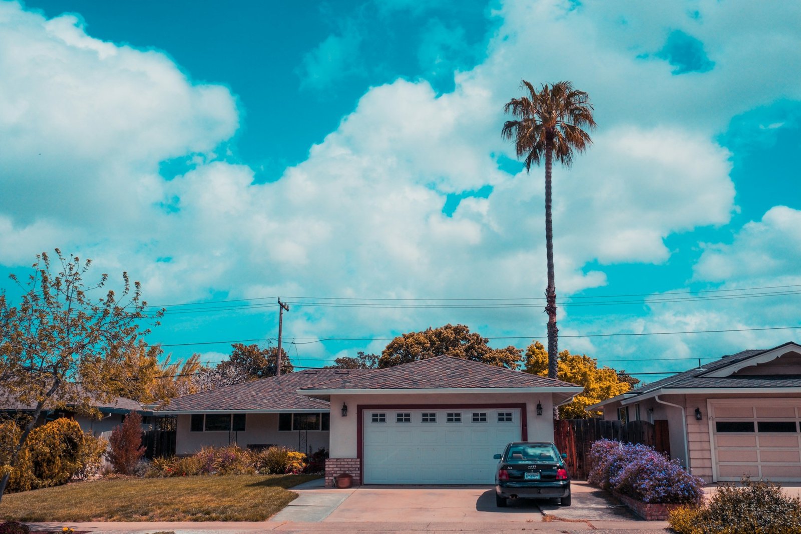White home and closed garage beneath a palm tree