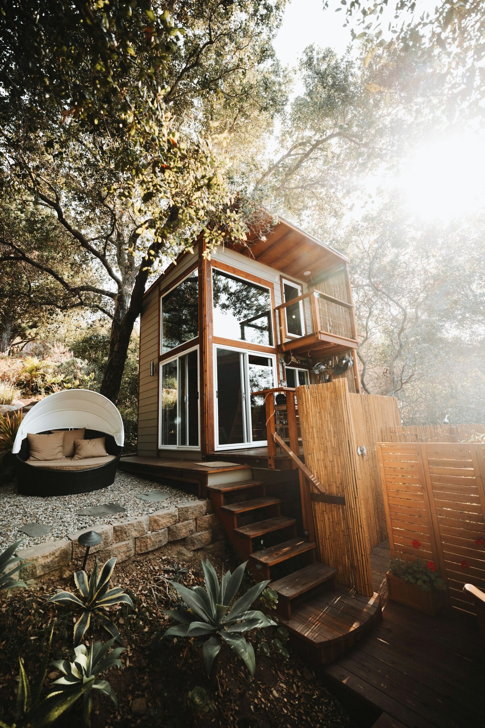 Small timber-clad home surrounded by trees