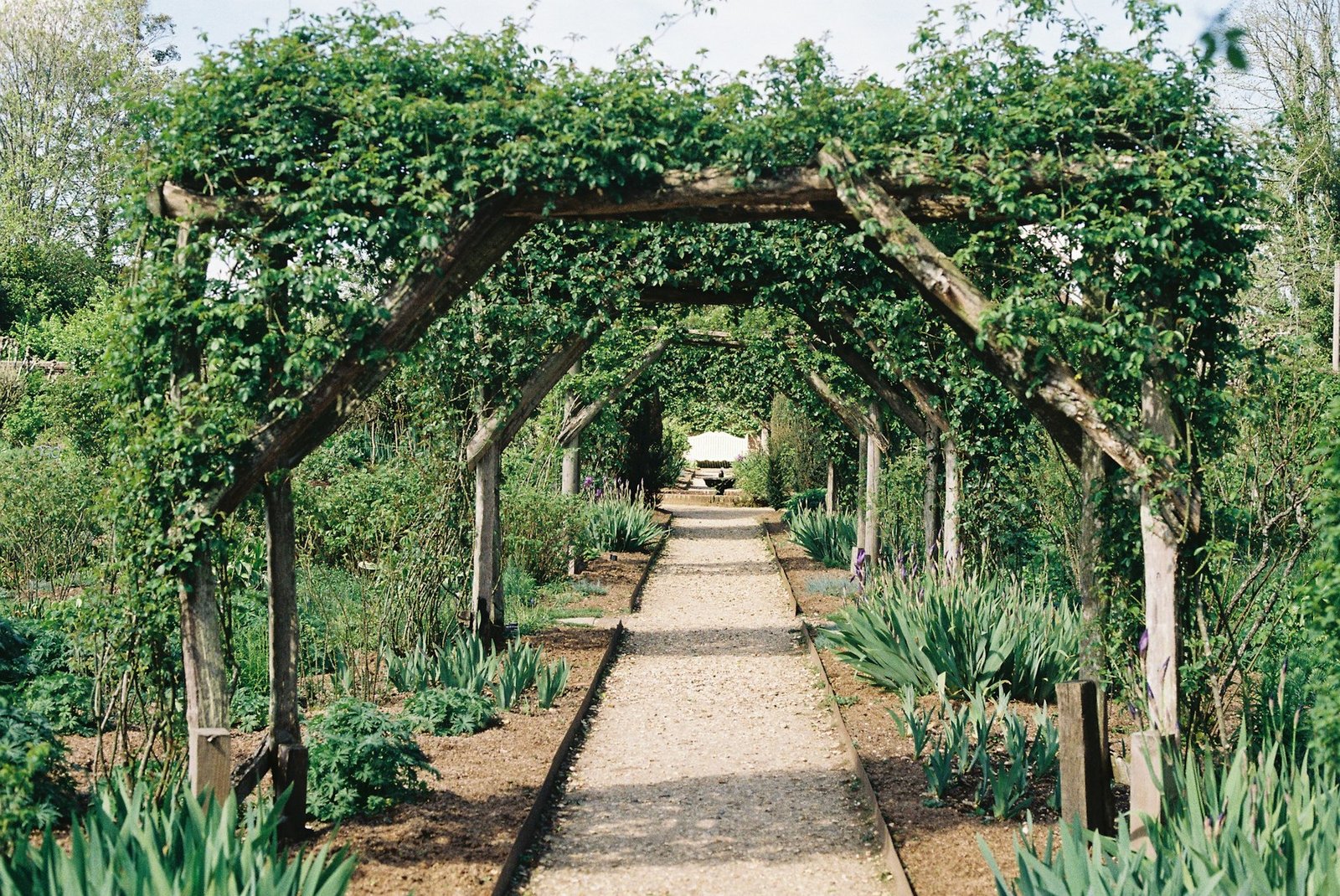 Gravel garden path beneath timber arbors covered in climbing plants