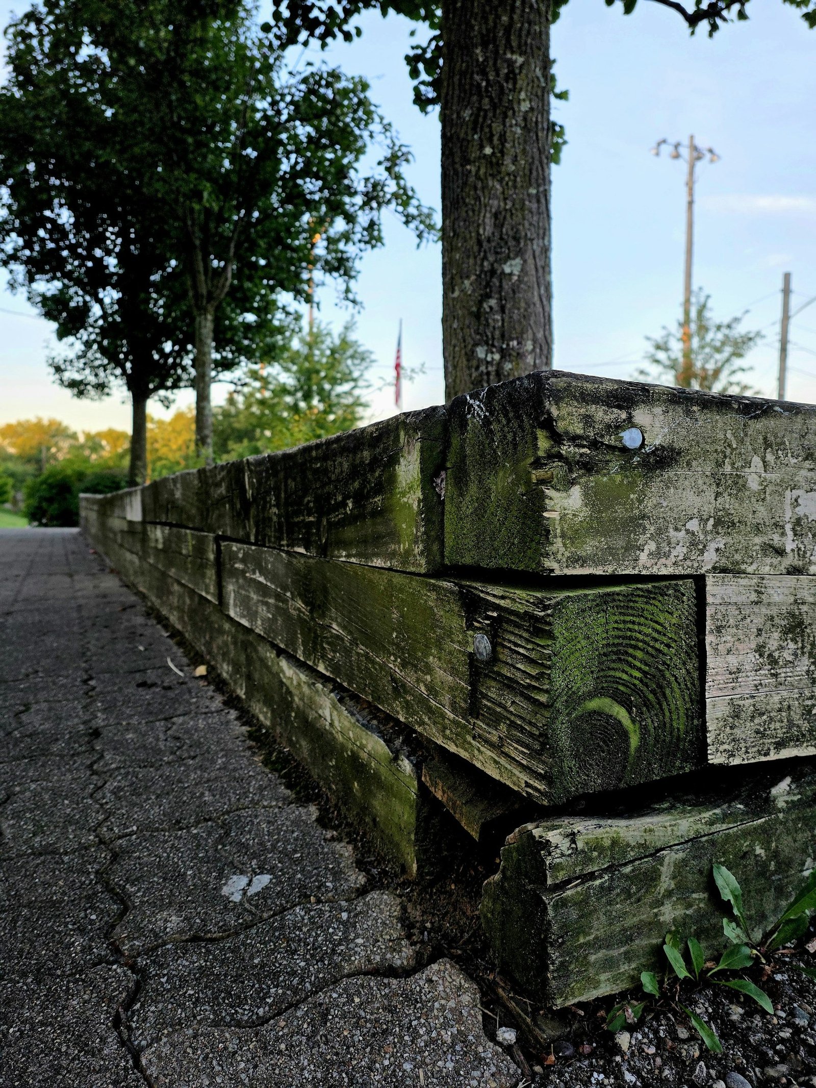 Weathered timber landscape retaining wall beside a paved path and trees