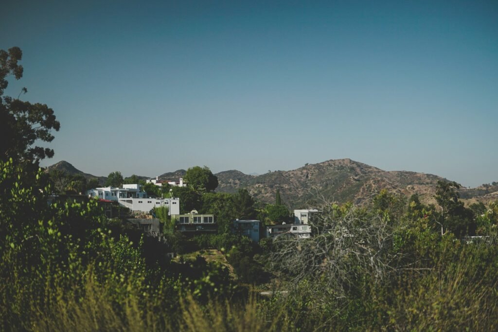 Houses set among trees below the hills near Hollywood Reservoir in Los Angeles