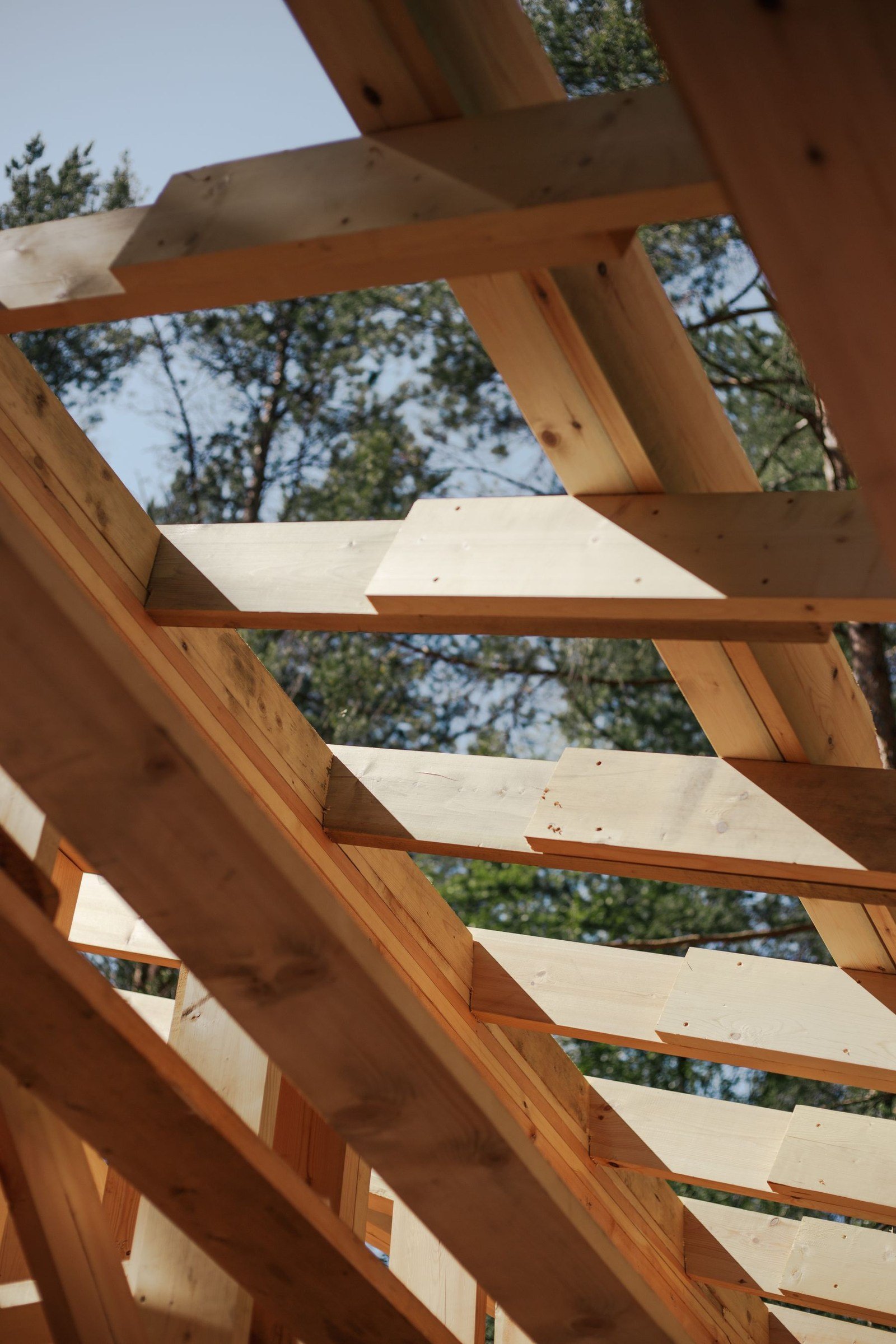 Exposed lumber roof framing against the sky and trees.