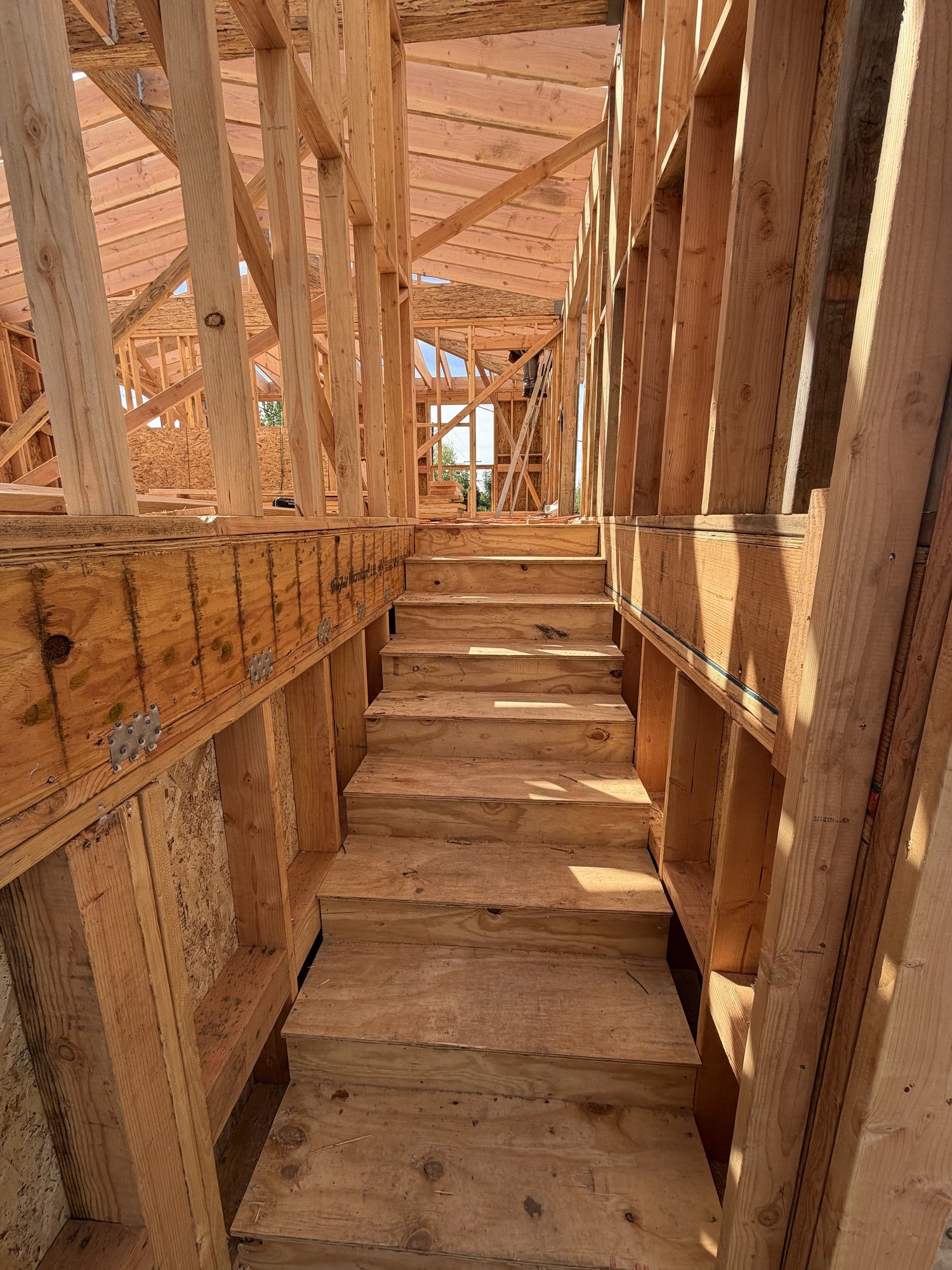 Unfinished timber staircase rising through exposed wood floor and wall framing