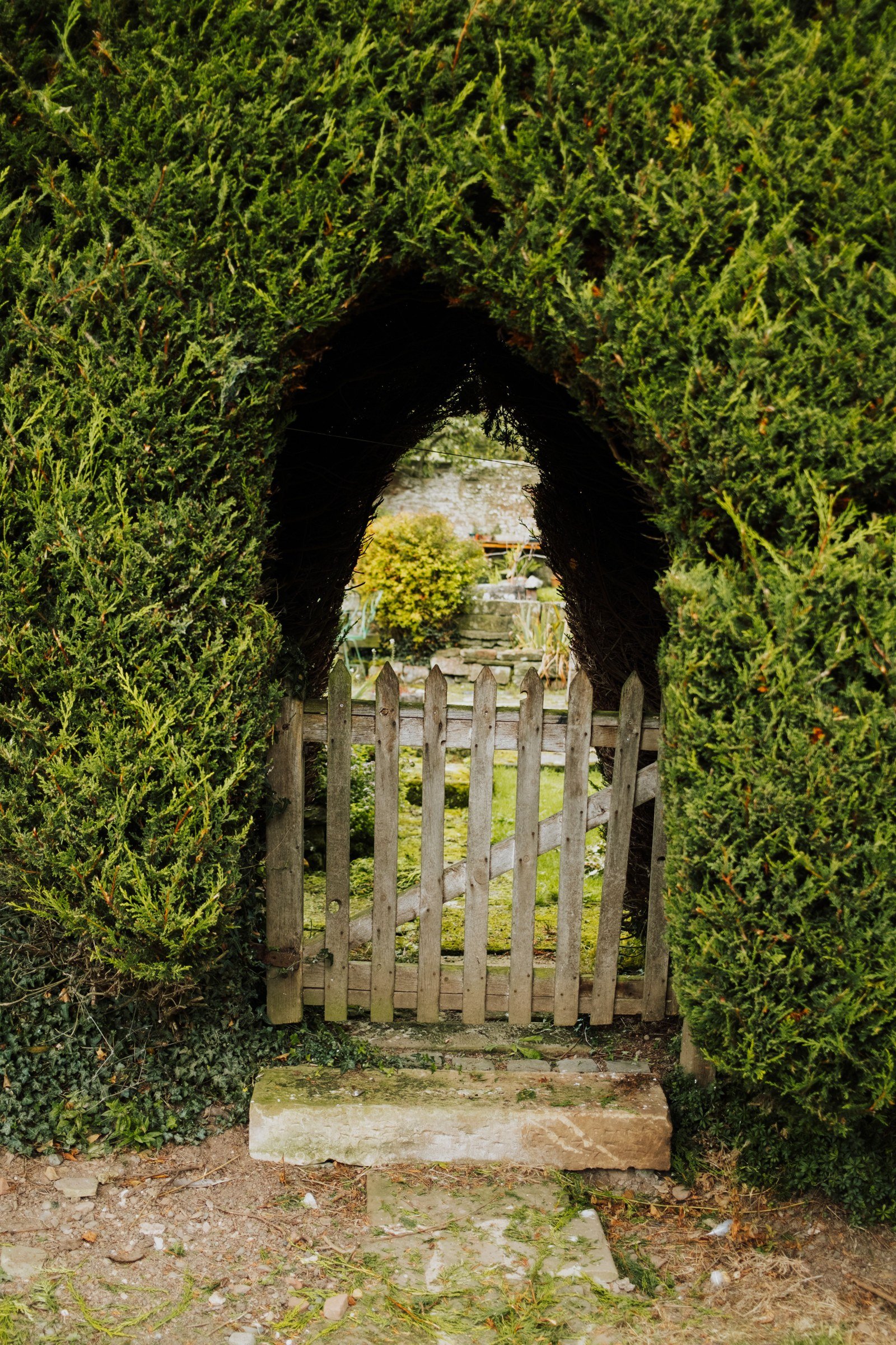 Wooden picket gate within a tall arch cut through a dense green hedge