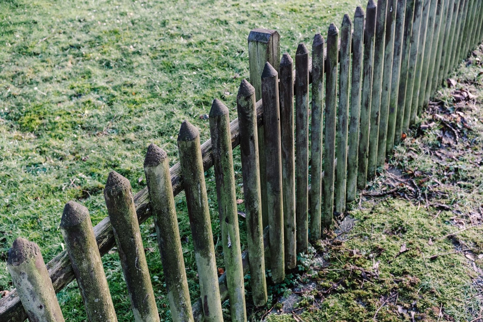 Weathered wooden picket fence between grassy garden areas